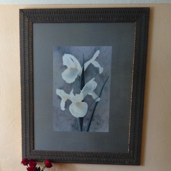 Large Orchid Wall Art - Wicker Border